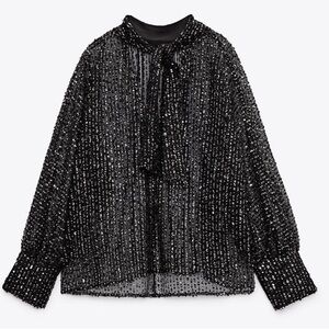 Zara Sequin Blouse